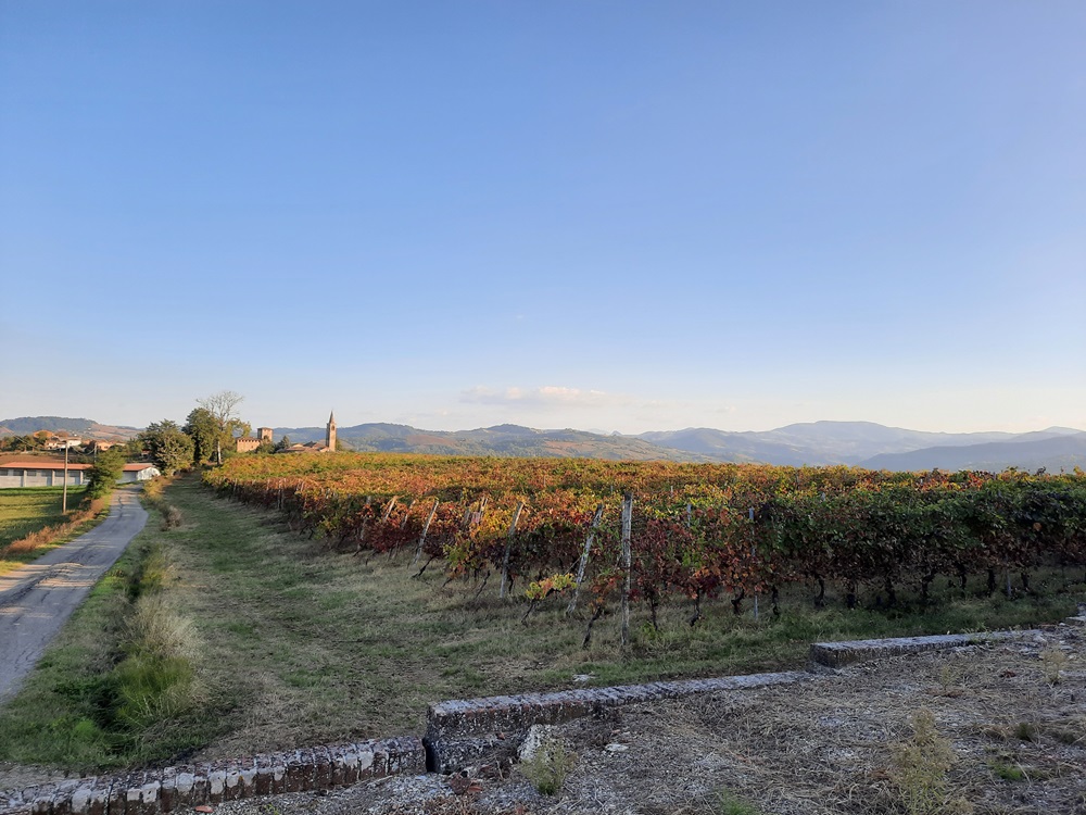 Blick auf die Hügeln des Val Tidone