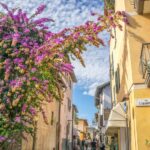sirmione, flower background, lake garda